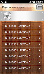 Registratore vocale Screen 2