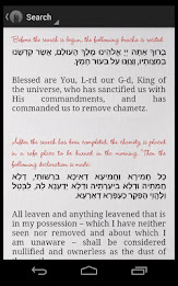 No Chametz! poster 5