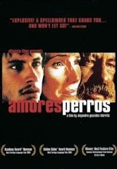 Amores Perros