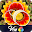 Venn Flowers: Circle Jigsaw Download on Windows