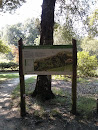 Belmonte Arboretum South East Info Sign 