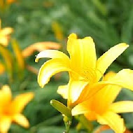 沐心泉休閒農場