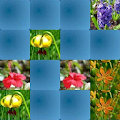 Flowers - memory game Apk