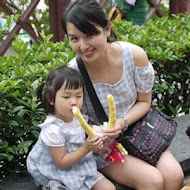 八里佘家孔雀蛤大王