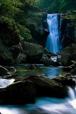 ������� 3D ����