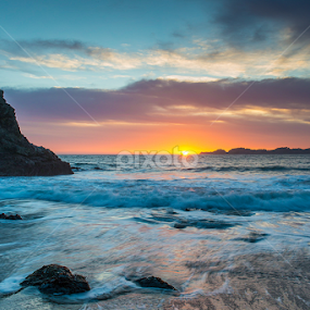 Sunset in San Francisco by Sebastian Holzapfel - Landscapes Sunsets & Sunrises