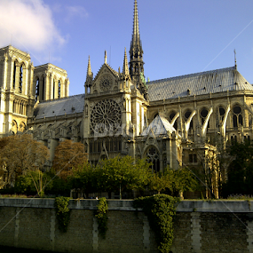 Notre Dame by Athena Kapsokavadi - Buildings & Architecture Public & Historical