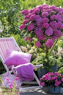 download Garden Design Ideas free
