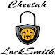 E Z  locksmith app