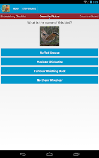 North American Birds Sounds Screenshots 11