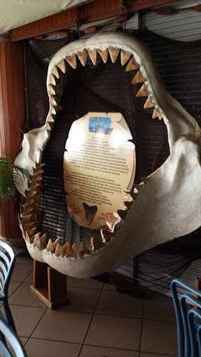 Megalodon Shark Moselle