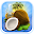Coconut Oil Download on Windows