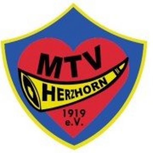 MTV Herzhorn Handball LOGO-APP點子