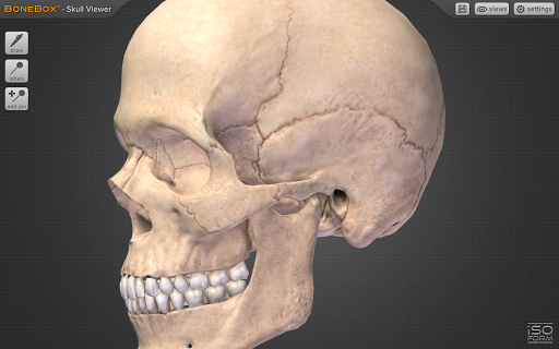 BoneBox™ - Skull Viewer