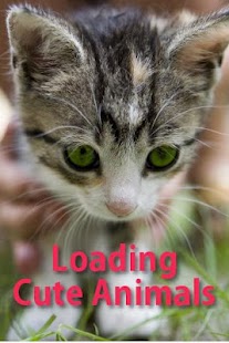 How to download Cute Animals Pictures lastet apk for android