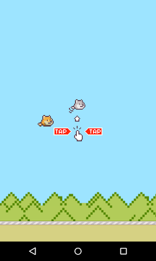 Flappy Doge