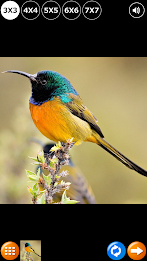 Tile Puzzle: Birds poster 5