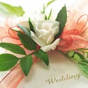 Gift Packaging  Wallpaper logo
