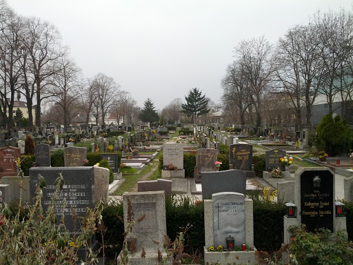 Friedhof Stadlau