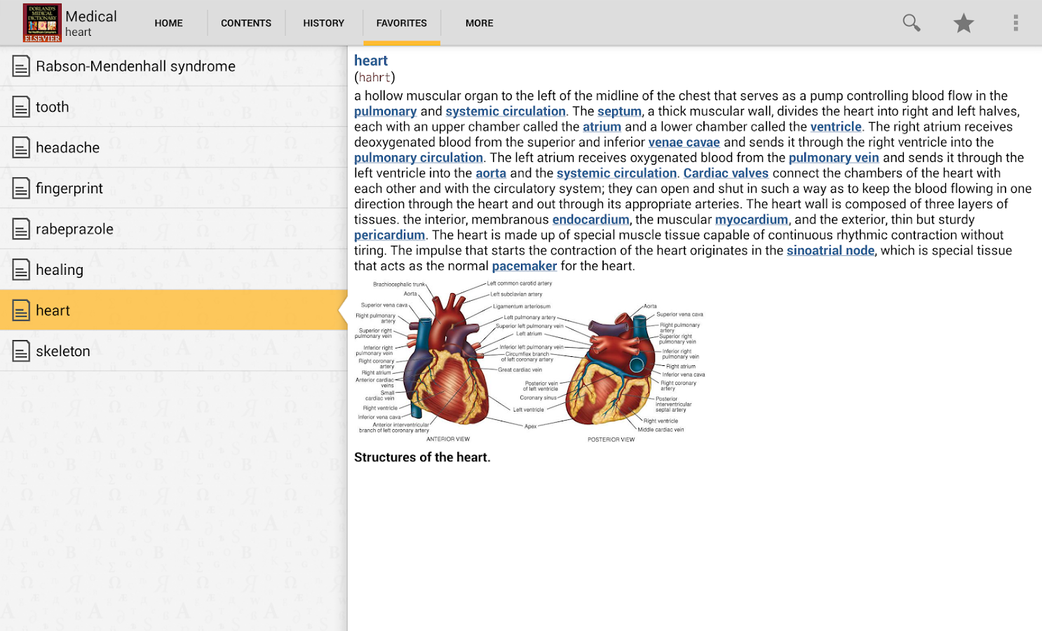 Dorland's Medical DictionaryTR - Android Apps on Google Play