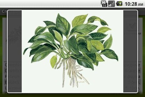 How to get Aquatic plants 1.1 apk for android