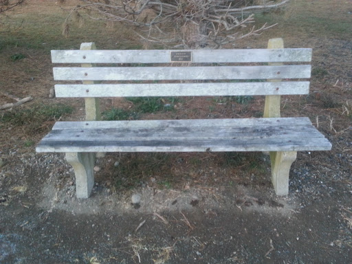 Baldi Memorial Bench