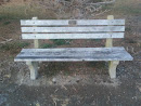 Baldi Memorial Bench