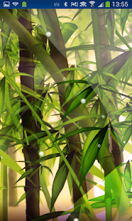 Free Download Bamboo Forest Live Wallpaper APK
