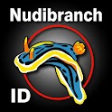 Nudibranch ID Australia NZ