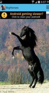 How to get Big Horses - Horse Pictures 1.0 mod apk for pc