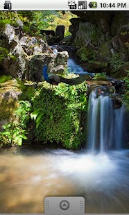 How to mod Peacock Sticker 1.0 apk for bluestacks