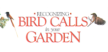 Bird Calls in your Garden APK