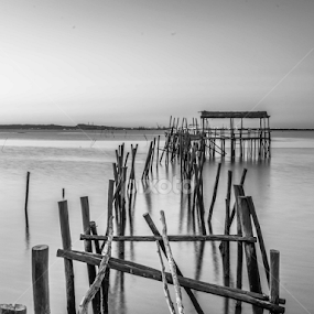 Old Dock by Eugénio Buchinho - Black & White Buildings & Architecture