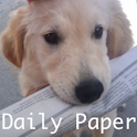 Daily Paper logo