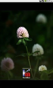 Lastest Ciclo de vida - Anciano APK