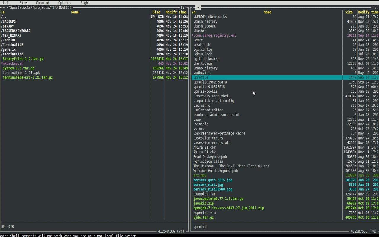    Terminal IDE- screenshot  