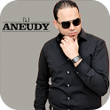 DJ Aneudy icon