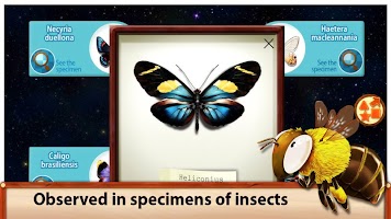 Sky Insect Buddies(FREE) APK Ekran Görüntüsü Küçük Resim #12