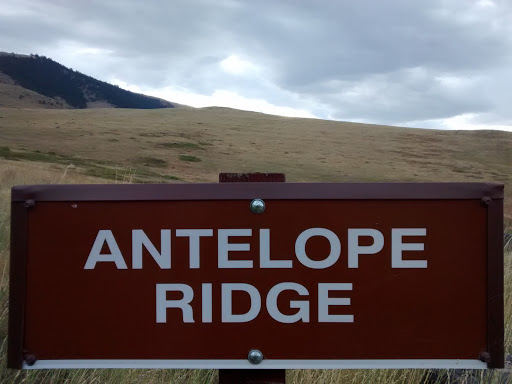 Bison Range Antelope Ridge