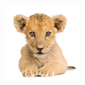 Best Real Animal Sounds Free logo
