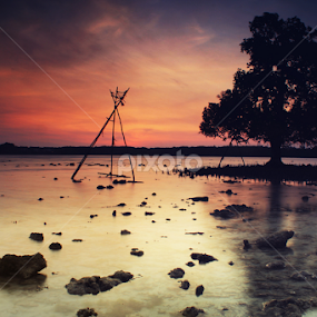 Silent In The Morning by Roem Hasadi - Landscapes Waterscapes