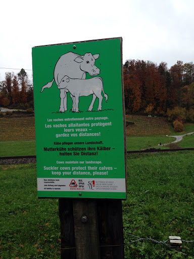 Sign with Cow and Sheep