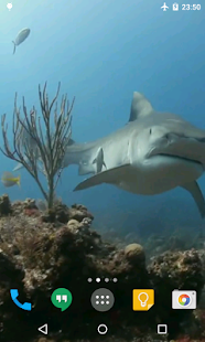 download Sharks Live Wallpaper free