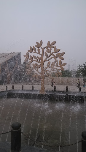 郑州植物园金树
