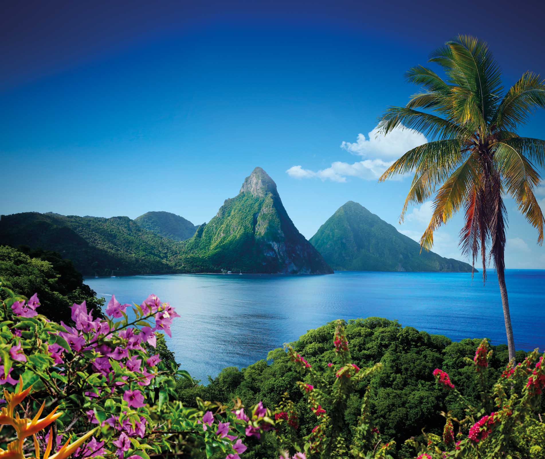 The postcard-ready Two Pitons on St. Lucia.