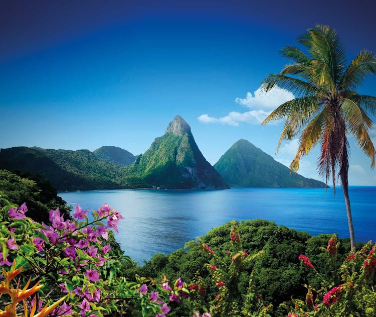 The postcard-ready Two Pitons on St. Lucia.