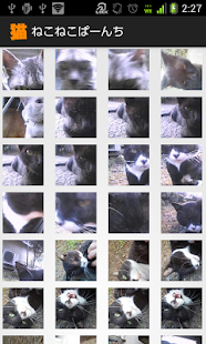 ねこねこぱーんち（猫カメラ） Screenshots 3