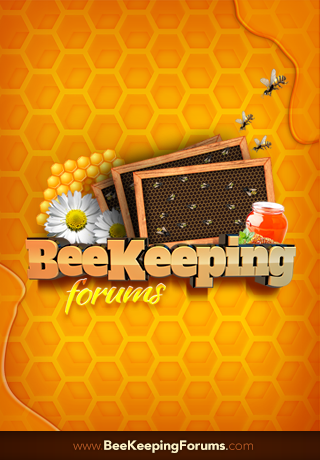 Beekeeping Forum