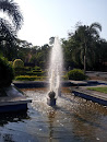 Traffic Park Fountain 