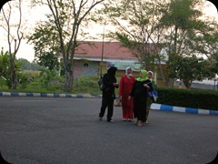 Countryside Road